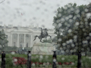 Washington Rain