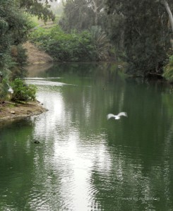 Yardinet Baptism site - Jordan River, Israel